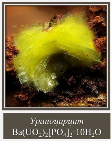 Ураноцирцит